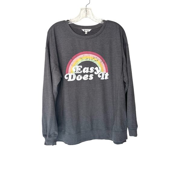 Wildfox Gray Easy Does It Pullover Cotton Blend Crewneck Sweatshirt Size Large - Picture 1 of 12